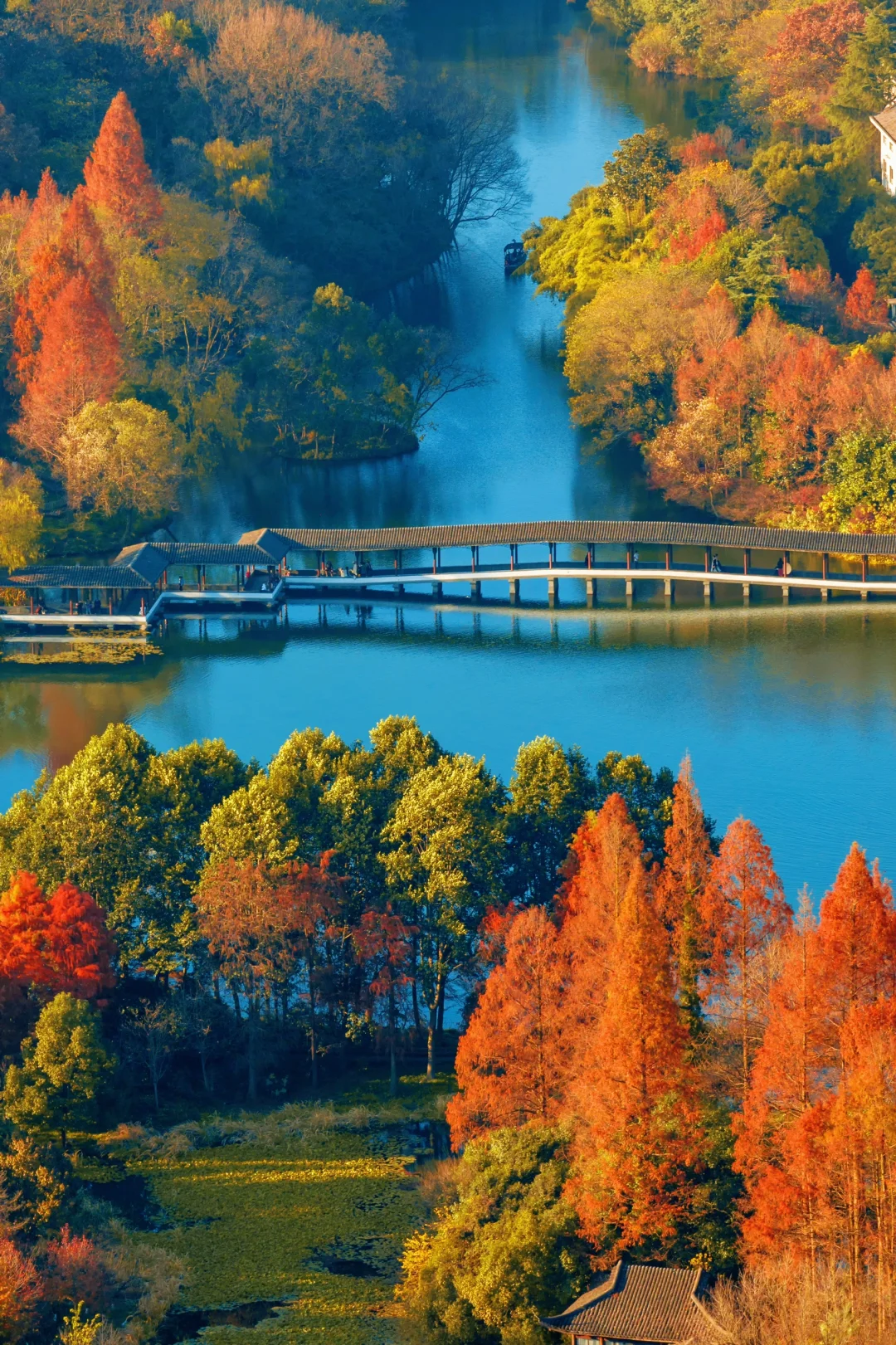 半小时登顶，这才是西湖秋天最值得爬的山
