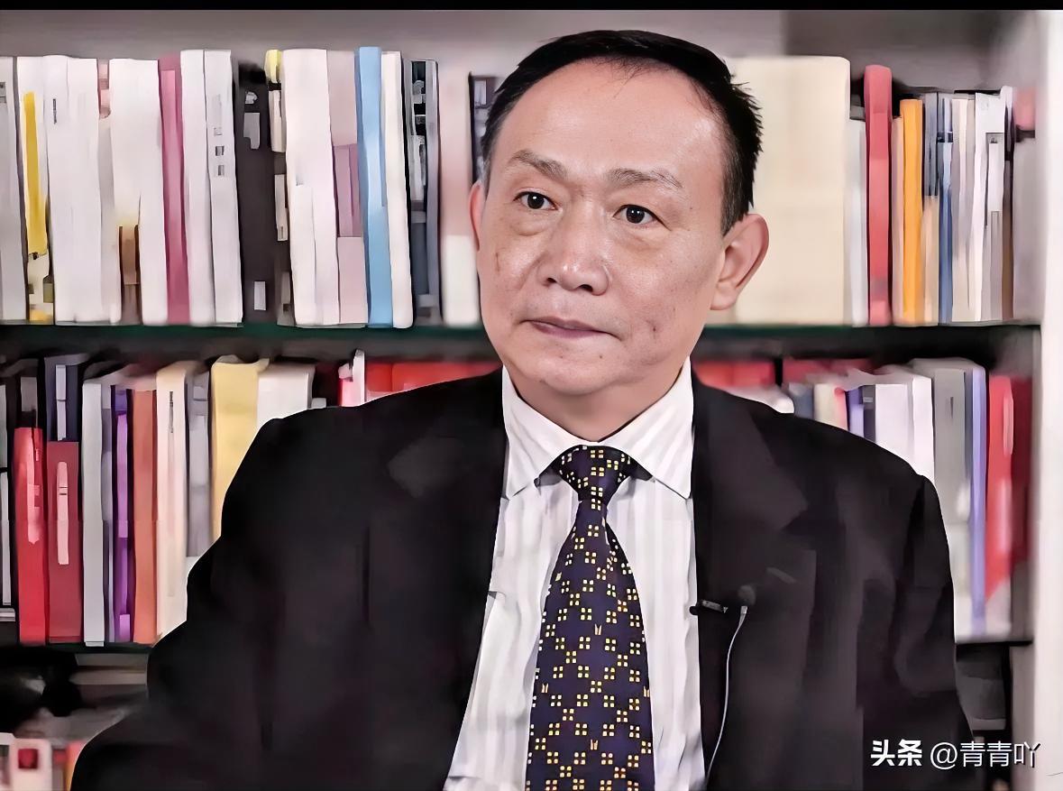 卢麒元探讨离岸信托相关观点引发广泛讨论的那段时间，不少人对他提出的资产外流风险不
