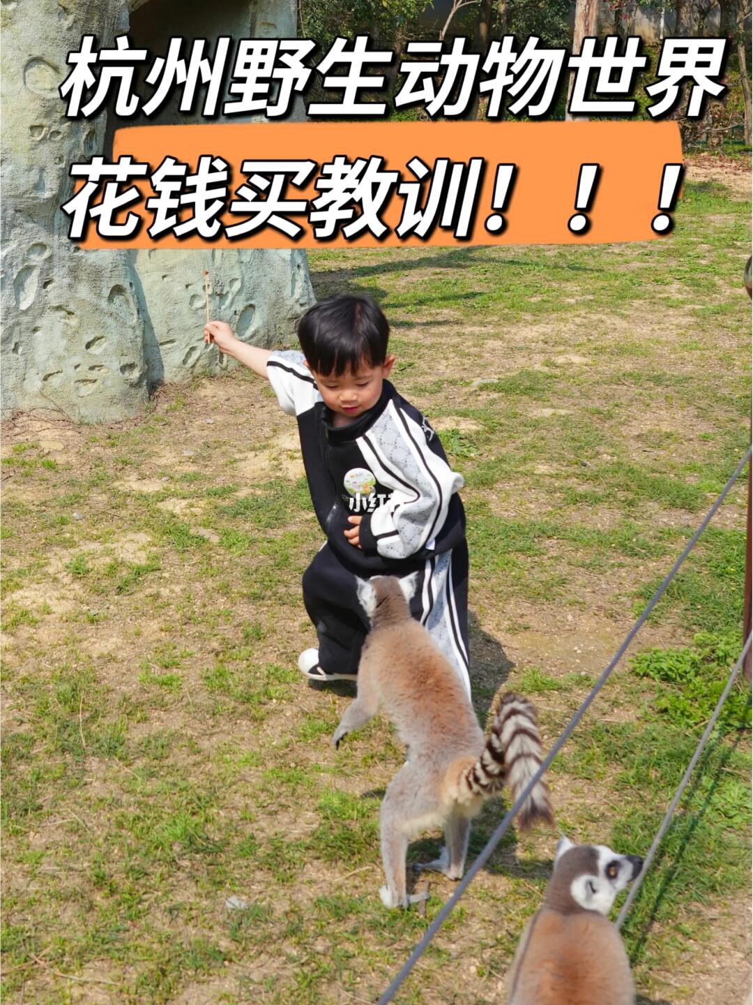 8刷杭州野生动物世界总结的血泪教训😭