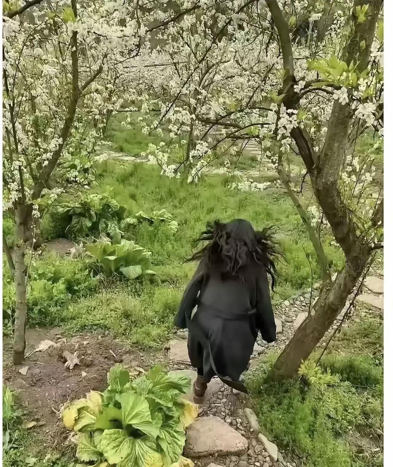 笑死，清明节旅游，对方老公抓拍的一张照片，第一眼看像野猪！[呲牙]