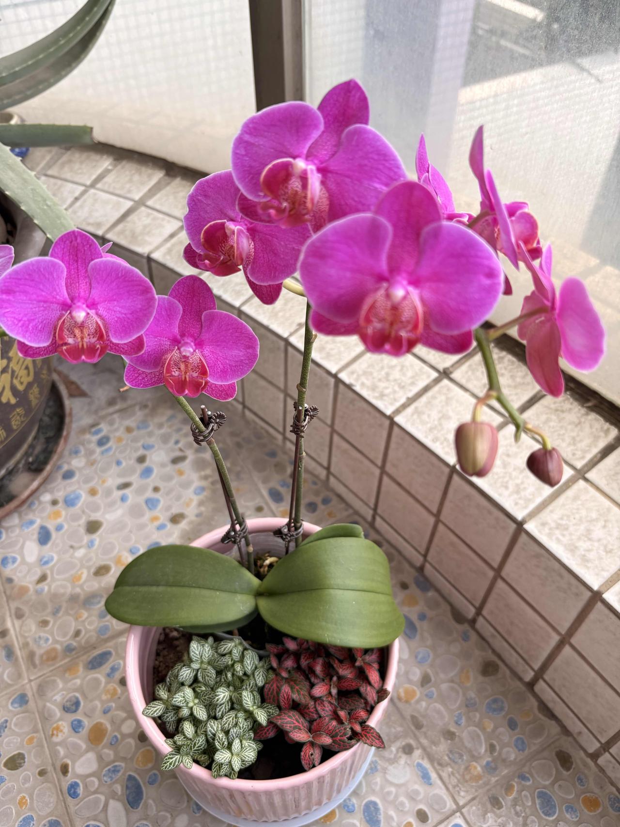 有没有发现一个扎心的事实？

就是小时候送孩子们去教育培训机构练的舞蹈，钢琴，书