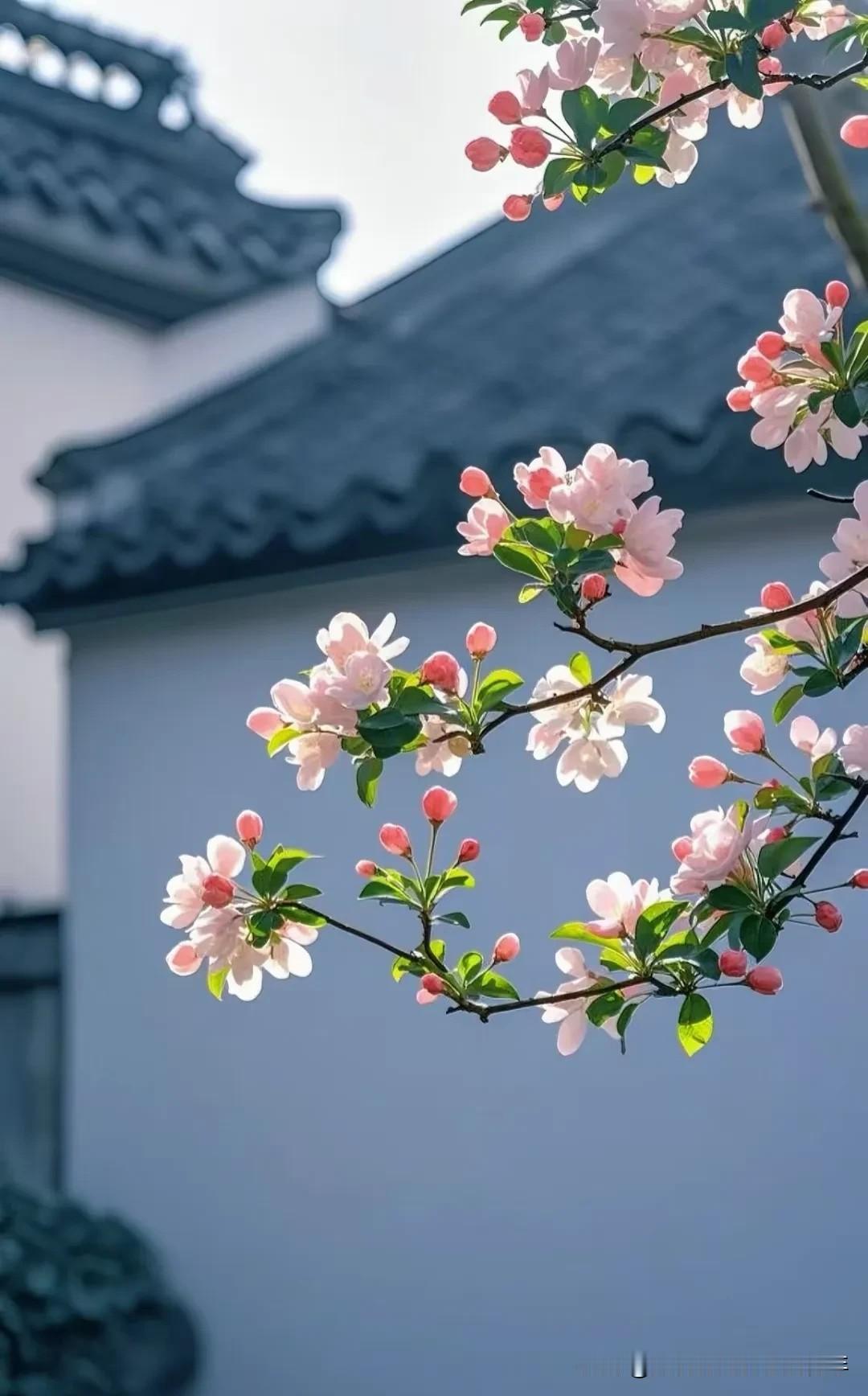 老家住了三个月，我也算是想明白了。不管农村的风景有多撩人，我还是对城市生活情有独