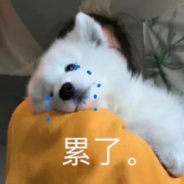 欢脱的小水母加班到这个点到家，放下包接了杯水，瞟了一眼自己的袖子才发现…………我