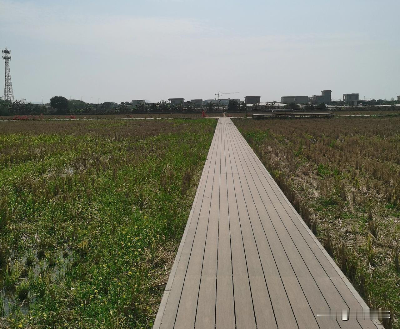 儿子去年底忙于面试找工作，没时间学习申论课，省考时申论裸考76分，总成绩进入前五