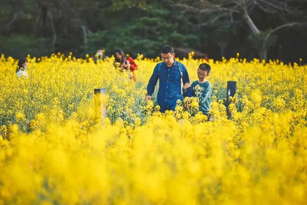 我在华为上班，年收入30万，当亲戚知道我的收入后，找我借钱就成了常态。

200