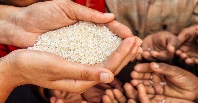 全球粮食危机不是狼来了，它已经实实在在地摆上了超市货架

全球粮食危机不是狼来了