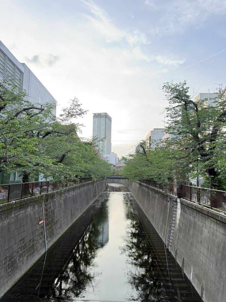 井内悠陽（ブログ更新しました〜！✍️5月もよろしくお願いします🍃悠陽のブログ桜