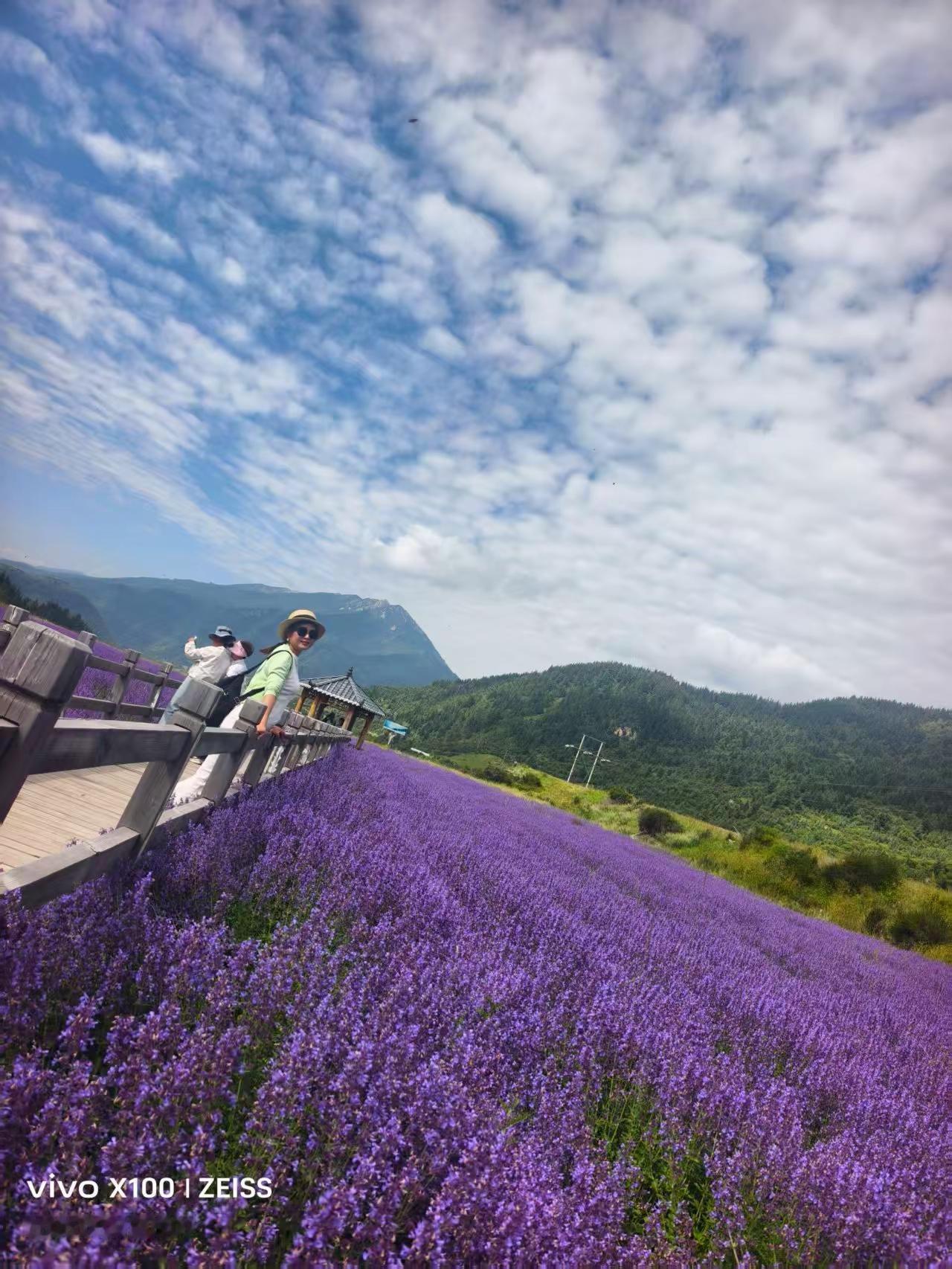不一定每天很好，但每天都有一只小美好在等你。