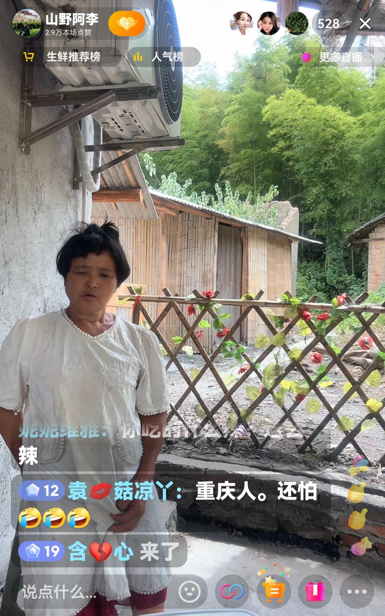 许久未看阿李的直播了，今日一打开阿李的直播间，发现仅有几百人。阿李正满头大汗地用