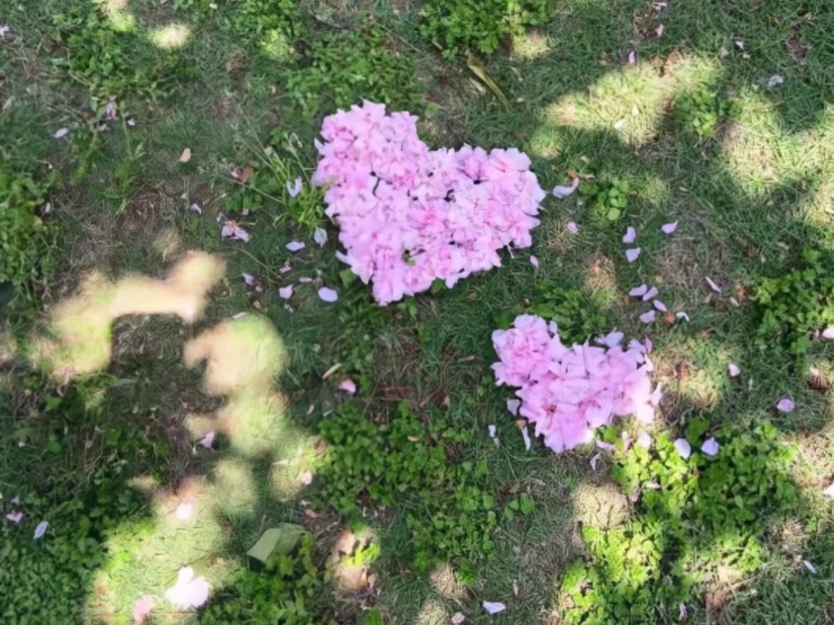 我在认真爱你的时候 完全没有想过给自己留后路. ​​​