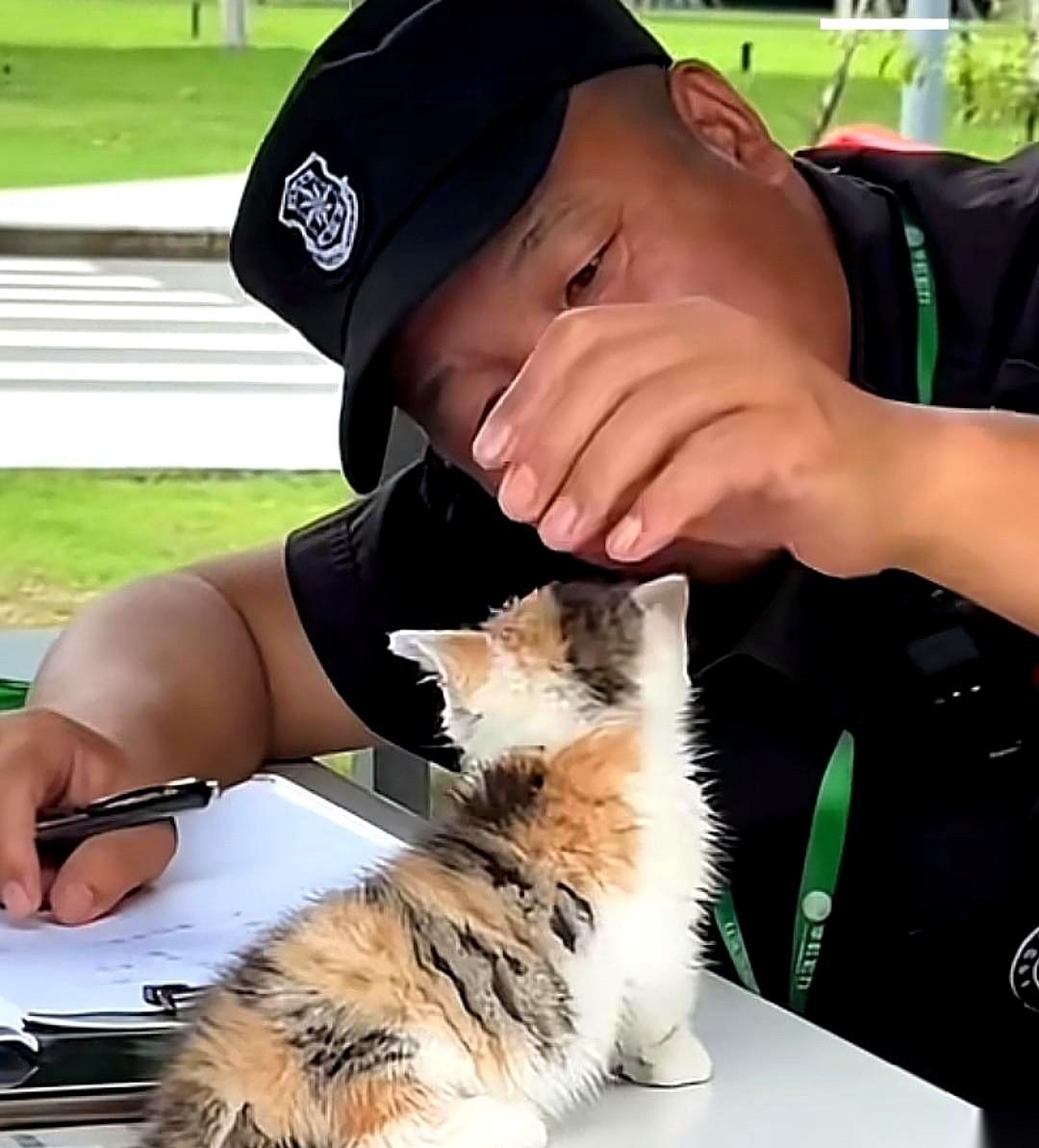 保安老孙把自己的零食掰碎，放在瓶盖里，推到一只小猫面前。
小猫就他巴掌大，浑身哆