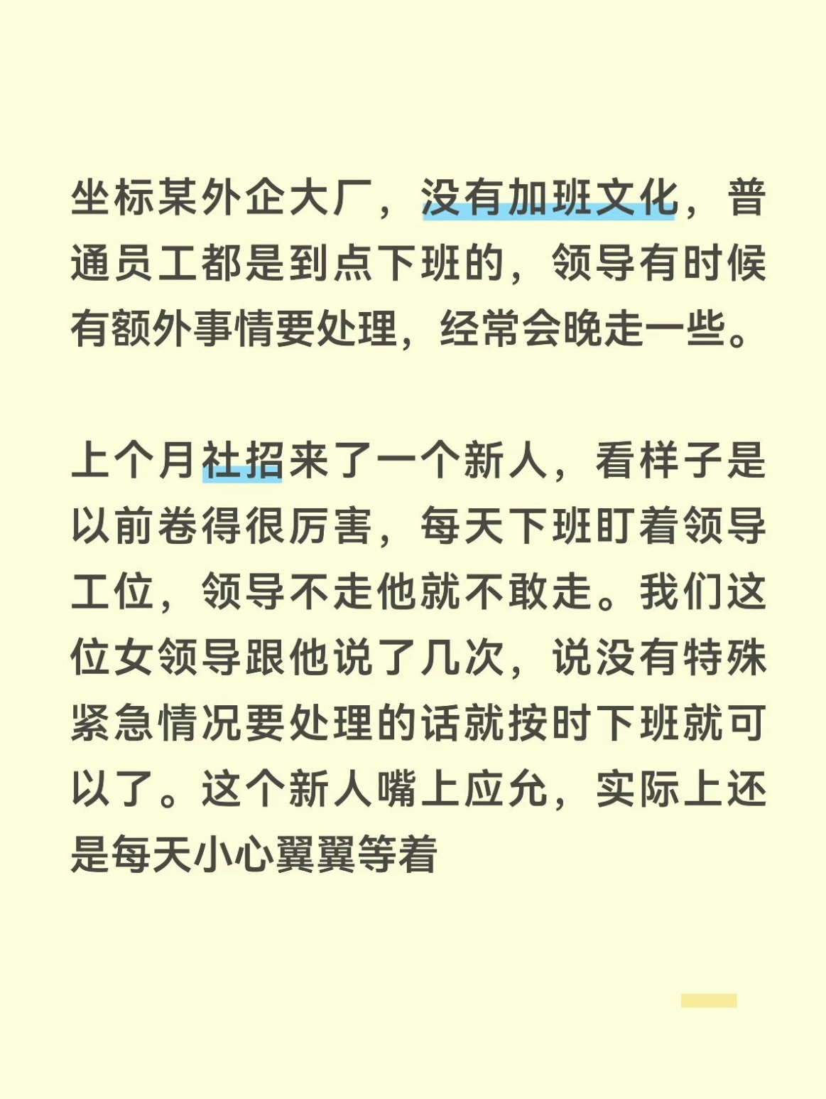 有这样的神仙老板也太爽了 