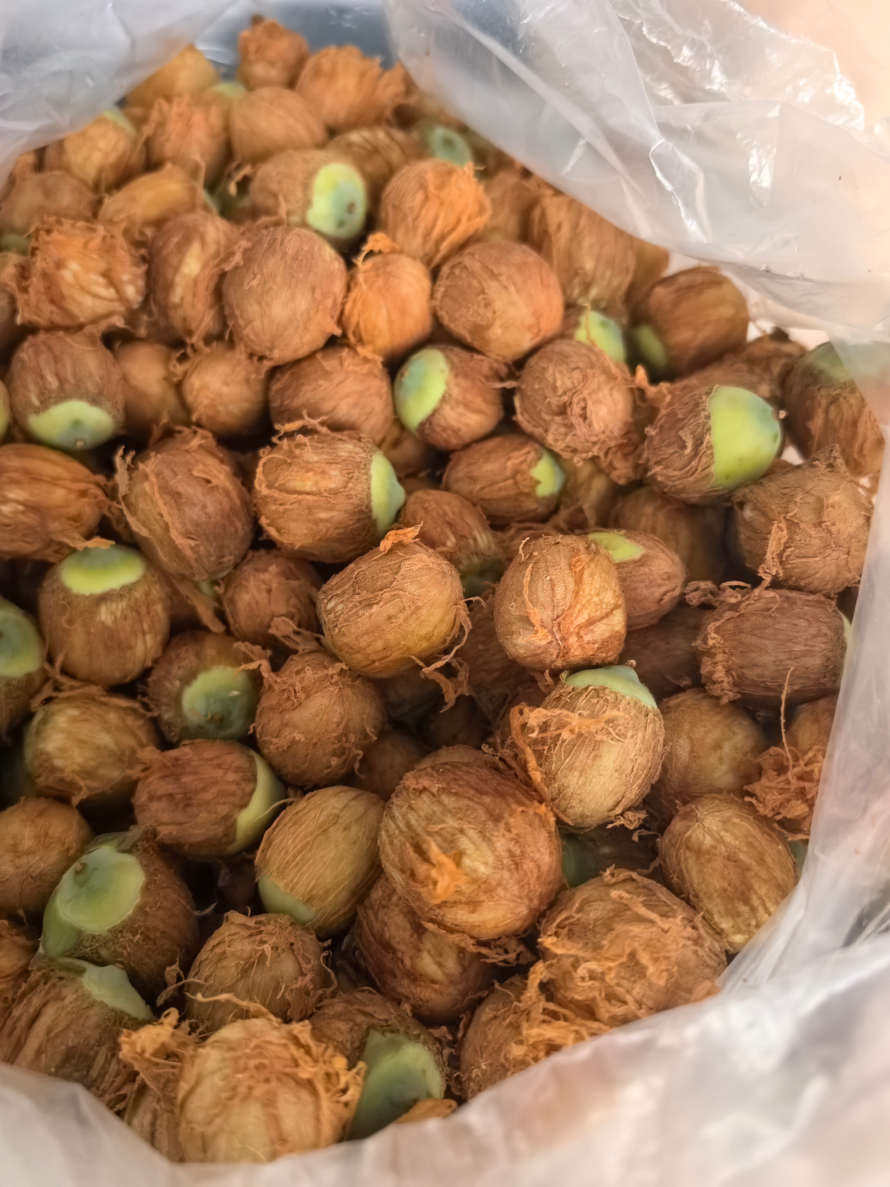碎碎念 今年第一波新鲜莲子吃上了。但是清甜脆嫩的比例少这种带包衣的，保鲜更好。 
