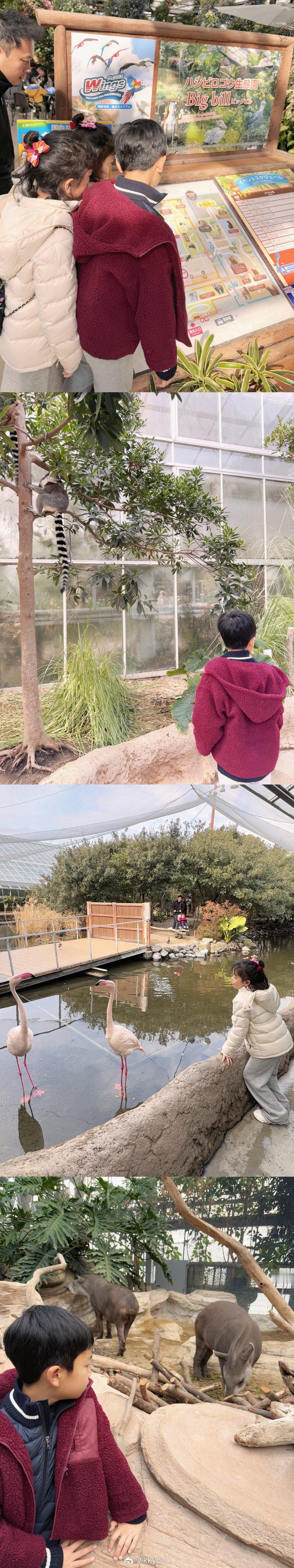 plog日记  KOBE👣 