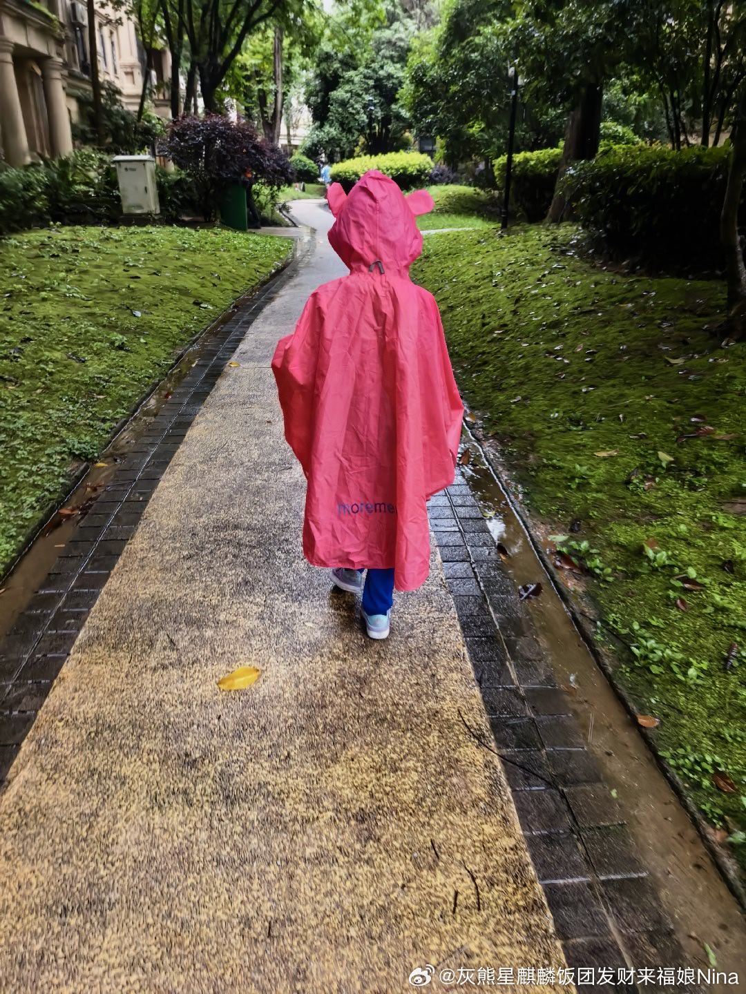 下超大雨 还要去游泳🏊