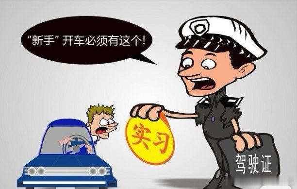 开车新手期怎么度过  汽场全开  新手司机上路秘籍，新手期轻松破茧成蝶！刚拿到驾