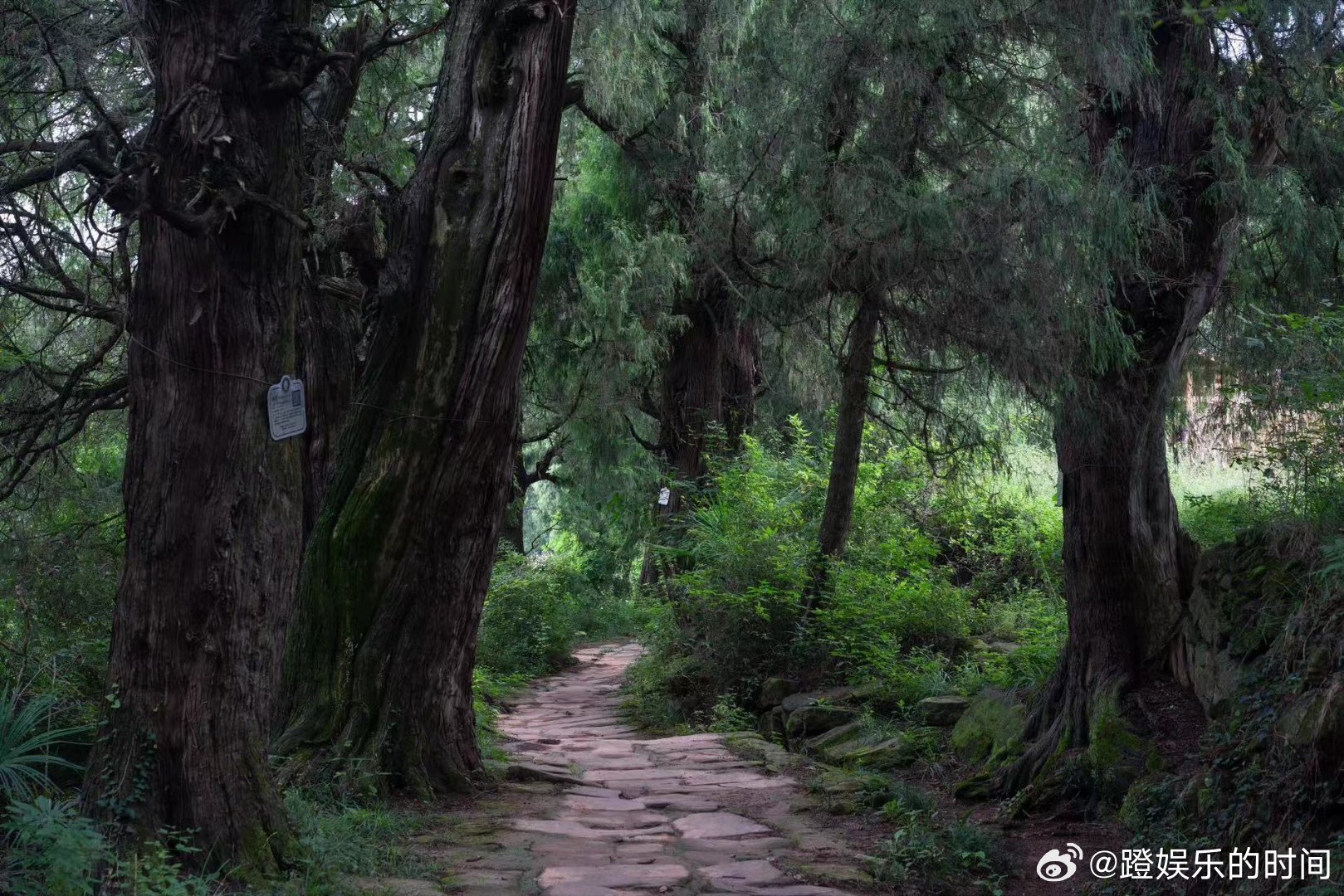 #蜀道山的含金量还在上升#飞湍瀑流旁，蜀道山的建设如火如荼，为四川的发展注入新活