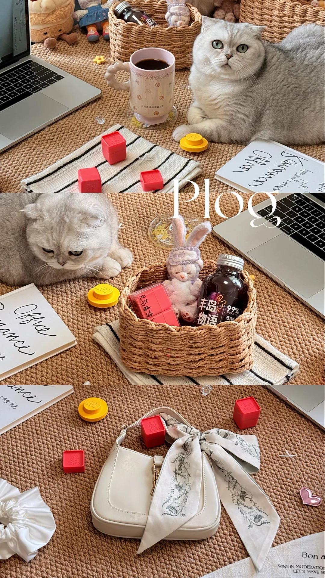 My life|独居日常！👧🎀🐱🐈😺