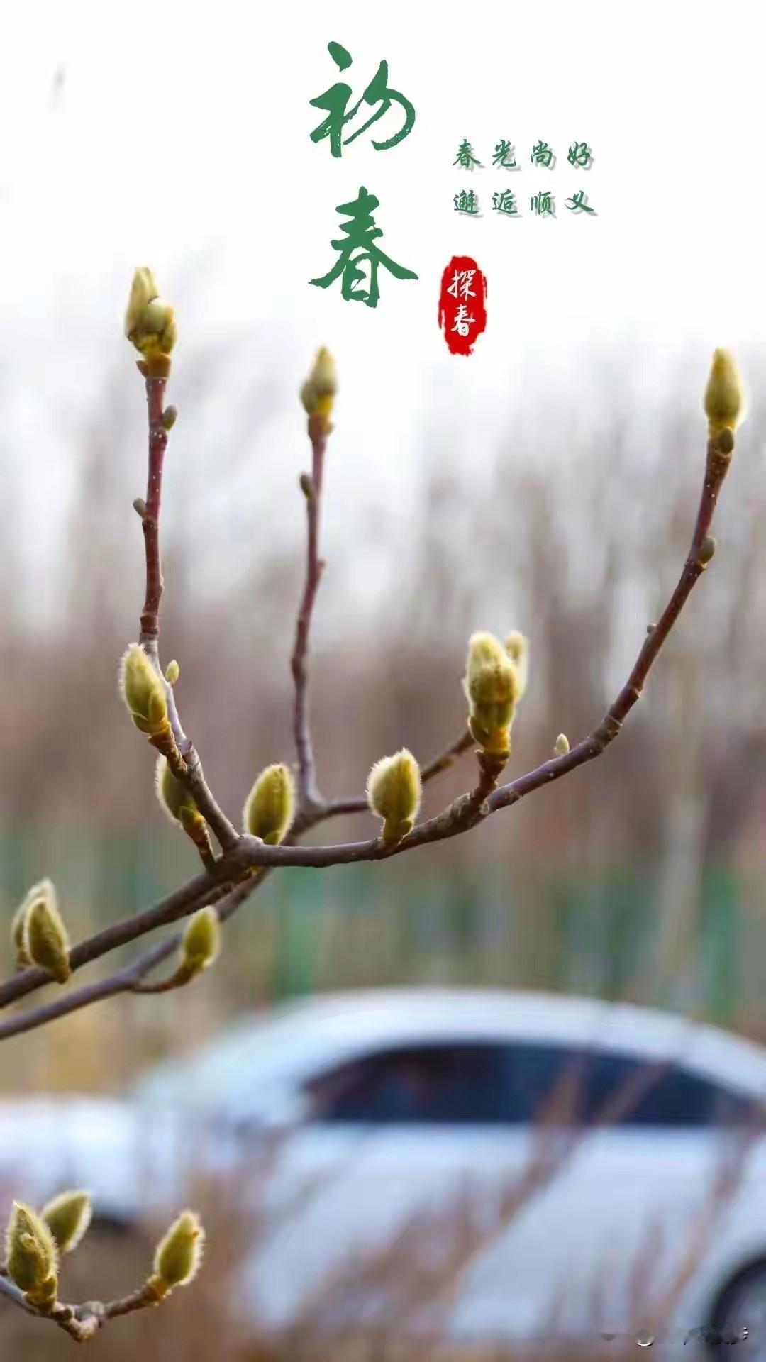 这一年，时光好像被按下了快进键，匆匆就到了尾声。说不清是日子太过忙碌，还是心底藏