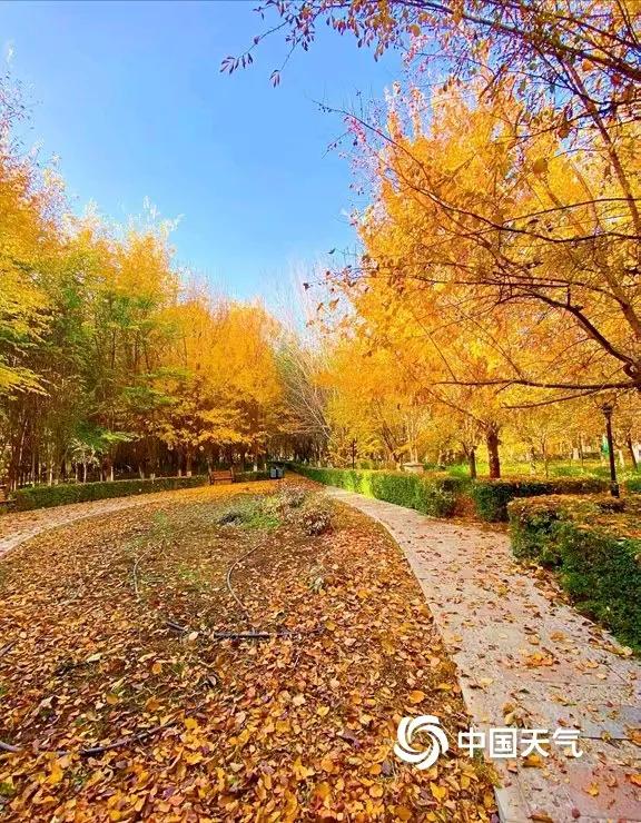 你是真的向往远方，
还是想要逃避当下？
许多人总说眼前的生活苟且，
无非是讨厌当