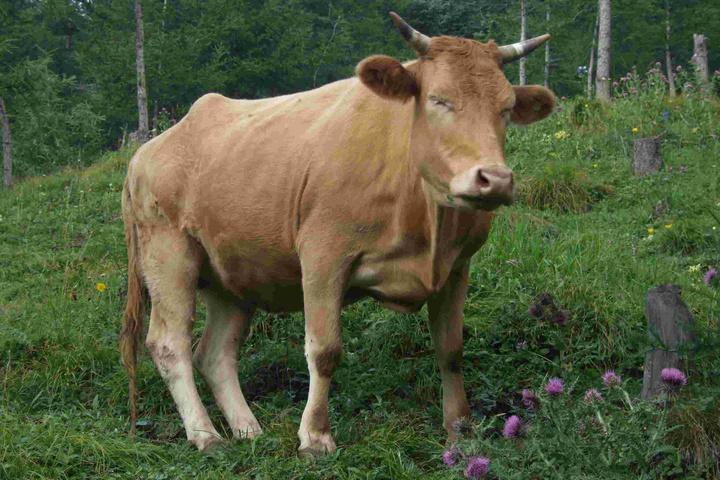 当大部分人在兴高采烈的买卖股票的时候，不要以为熊离得很远！请时刻警惕熊的反扑！因