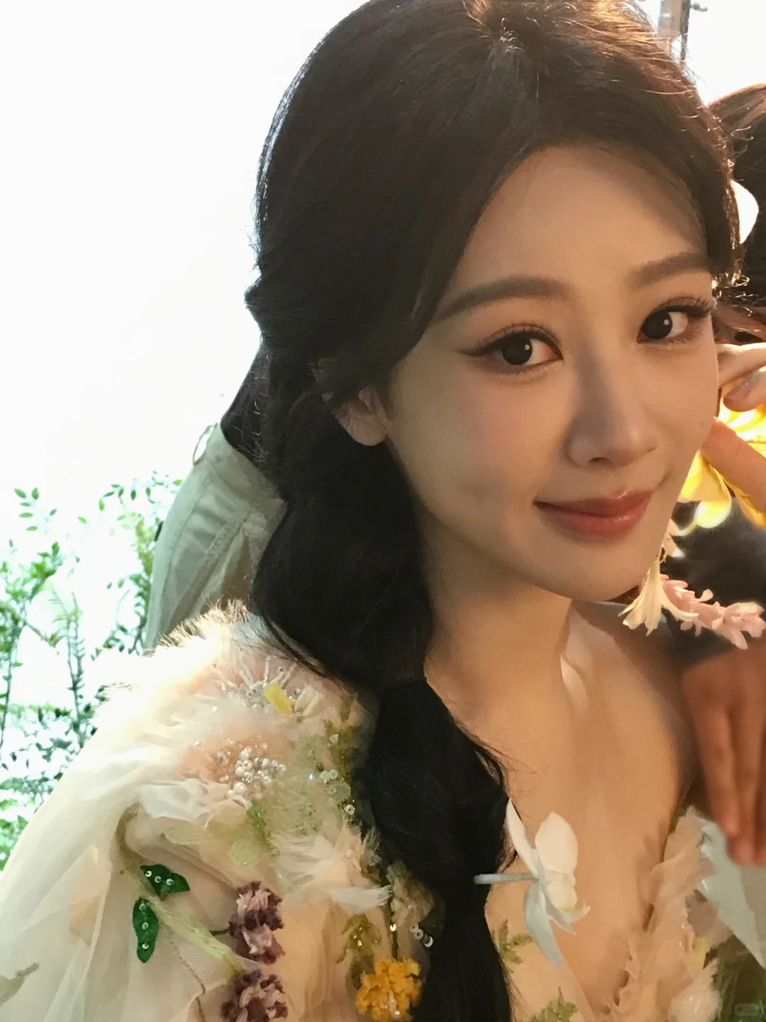 杨紫生命树白玉兰压轴 想和你坐在晚风里，和你碎碎念时光里的往事，步履蹒跚也要陪你