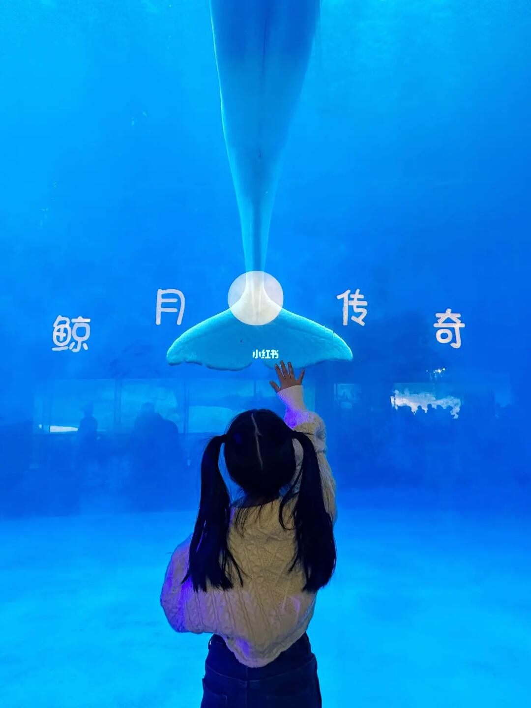 极地海洋世界龙宫灯光秀剧透❗️过年遛娃就这了
绚烂灯光星河，海底星空呈现尽收眼底...