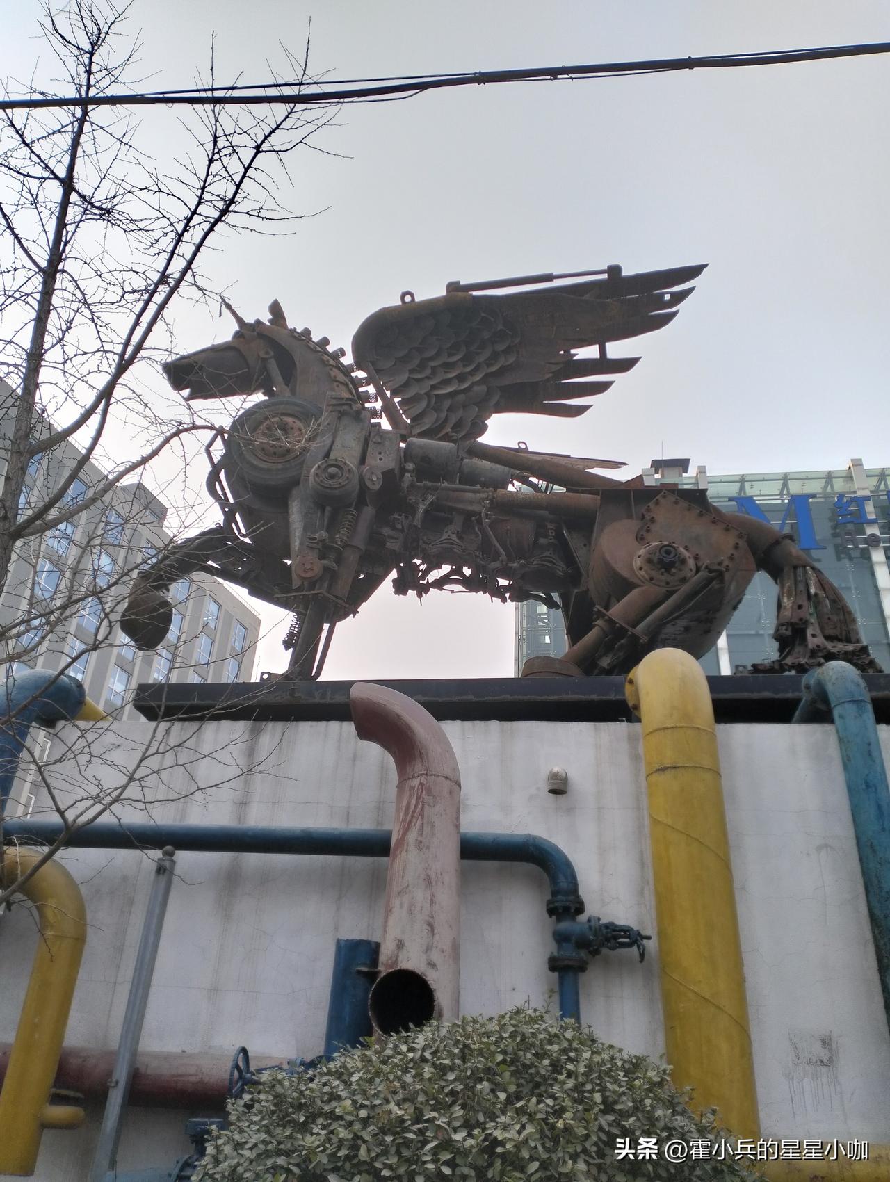 分享一张最近随手拍的照片