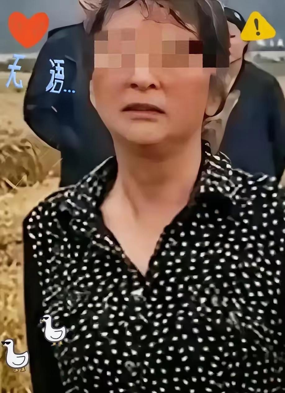 说真的，谁能想到当初闹得满城风雨的“割四赔五”大妈，现在竟成了本地收割机手心里的
