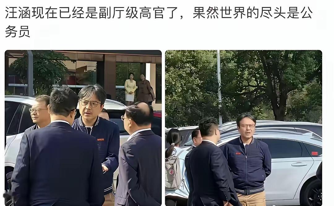 汪涵现在已经副厅级了吗？ 