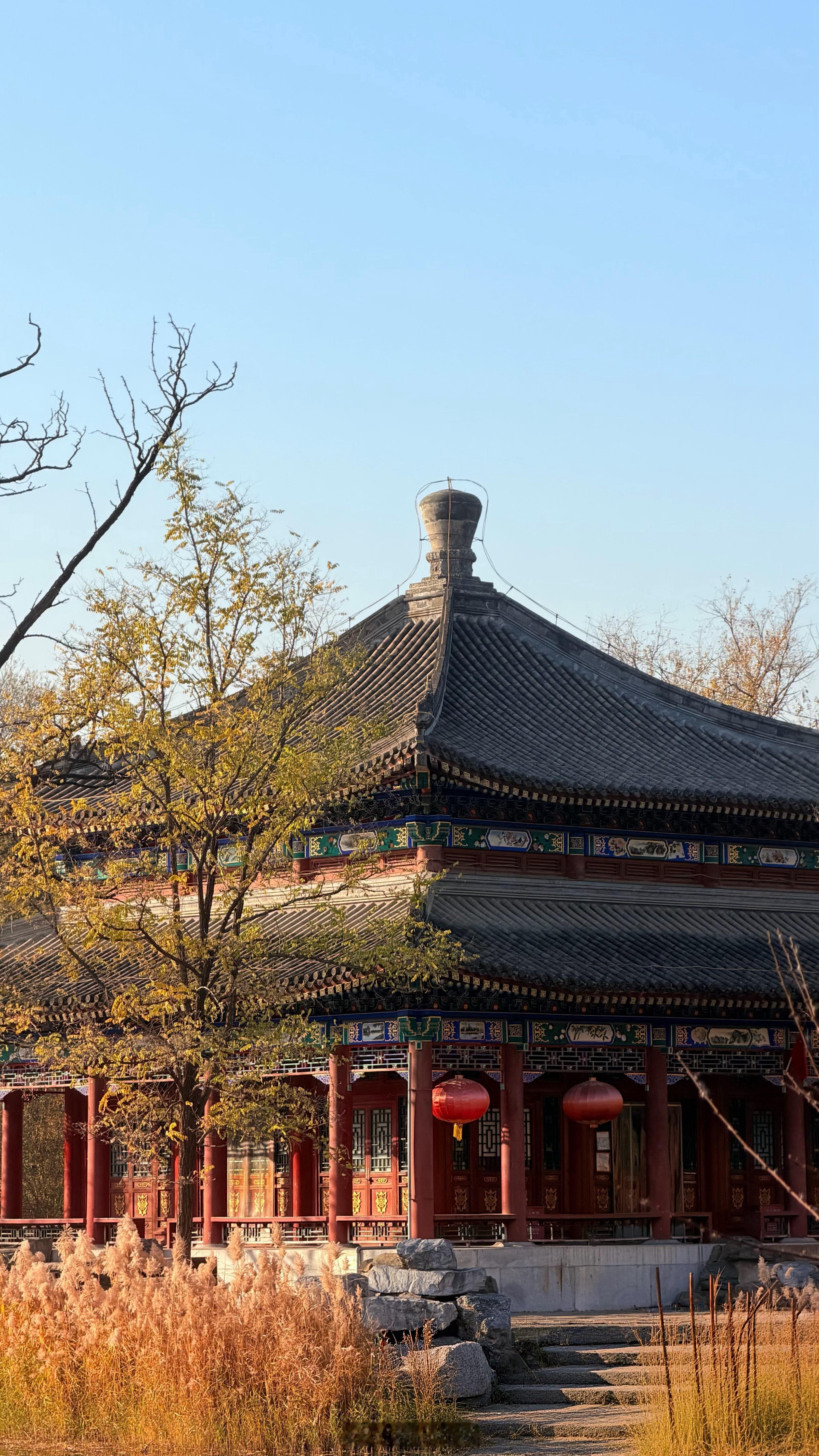 做了好久的心理建设才来到圆明园🍂踏着晚秋来逛，更显萧瑟，难以想象如果没有被破坏