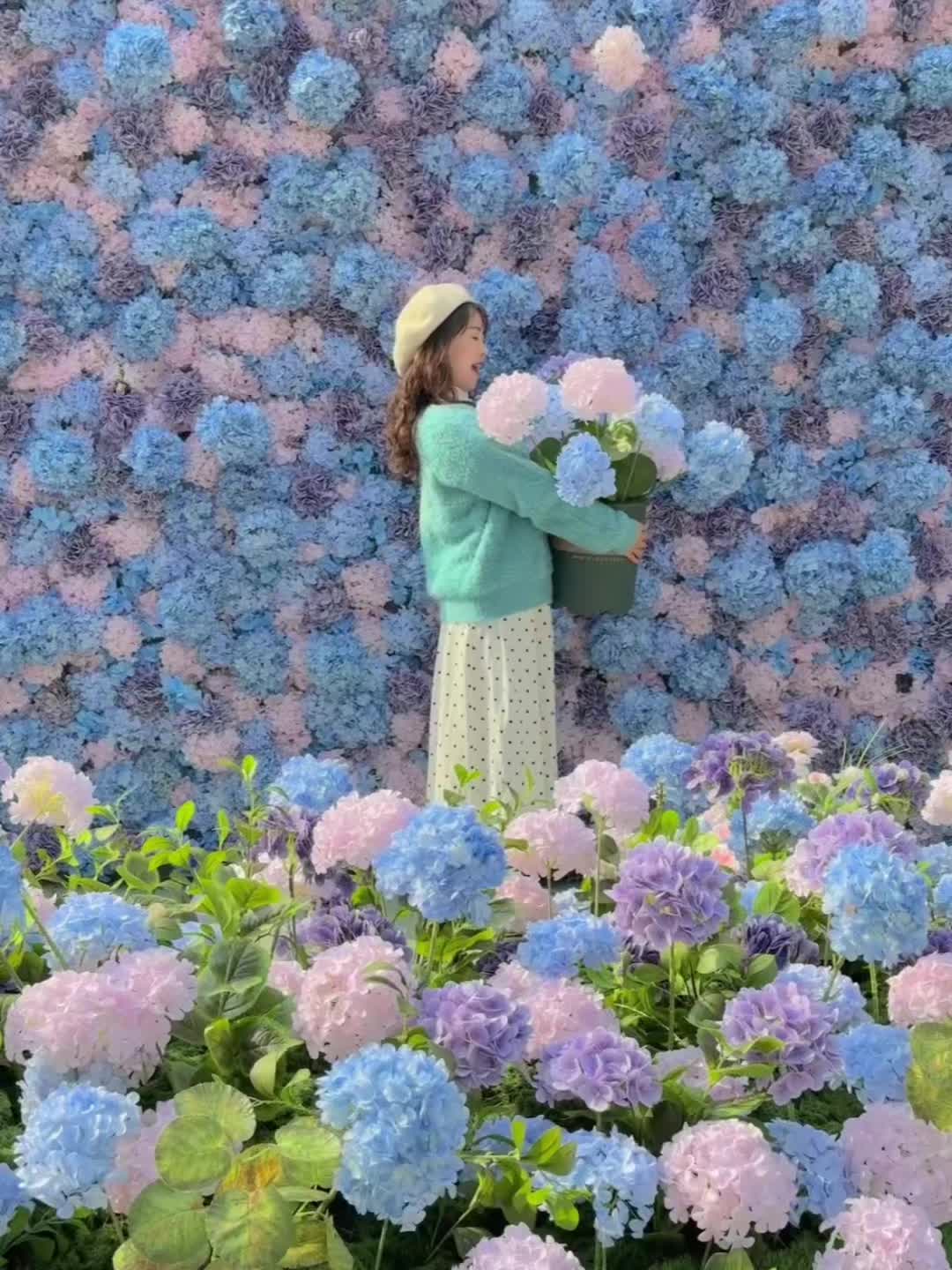 1.20实拍！成都第一波春日花海！地铁直达！ 成都的春天正在悄悄盛放！...