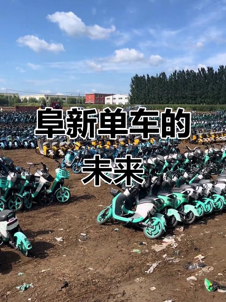阜新市电动共享单车还能回来吗？
 
以前，出门办事，顺手就拎过一辆电动车，扫码后