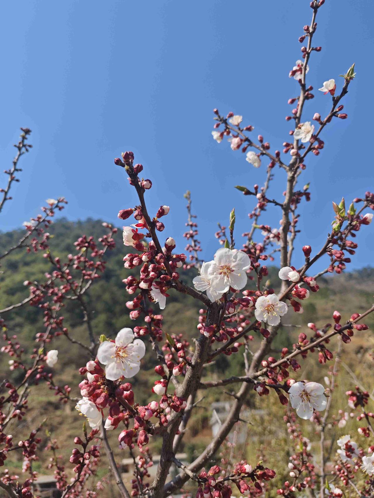 我的今日状态：💰期待暴富
我这里的天气：☀️晴天