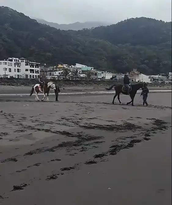 阴天也挡不住萌娃撒欢！🌊小杨阿姨最新vlog曝光月儿姐弟骑马名场面，海风裹着咸