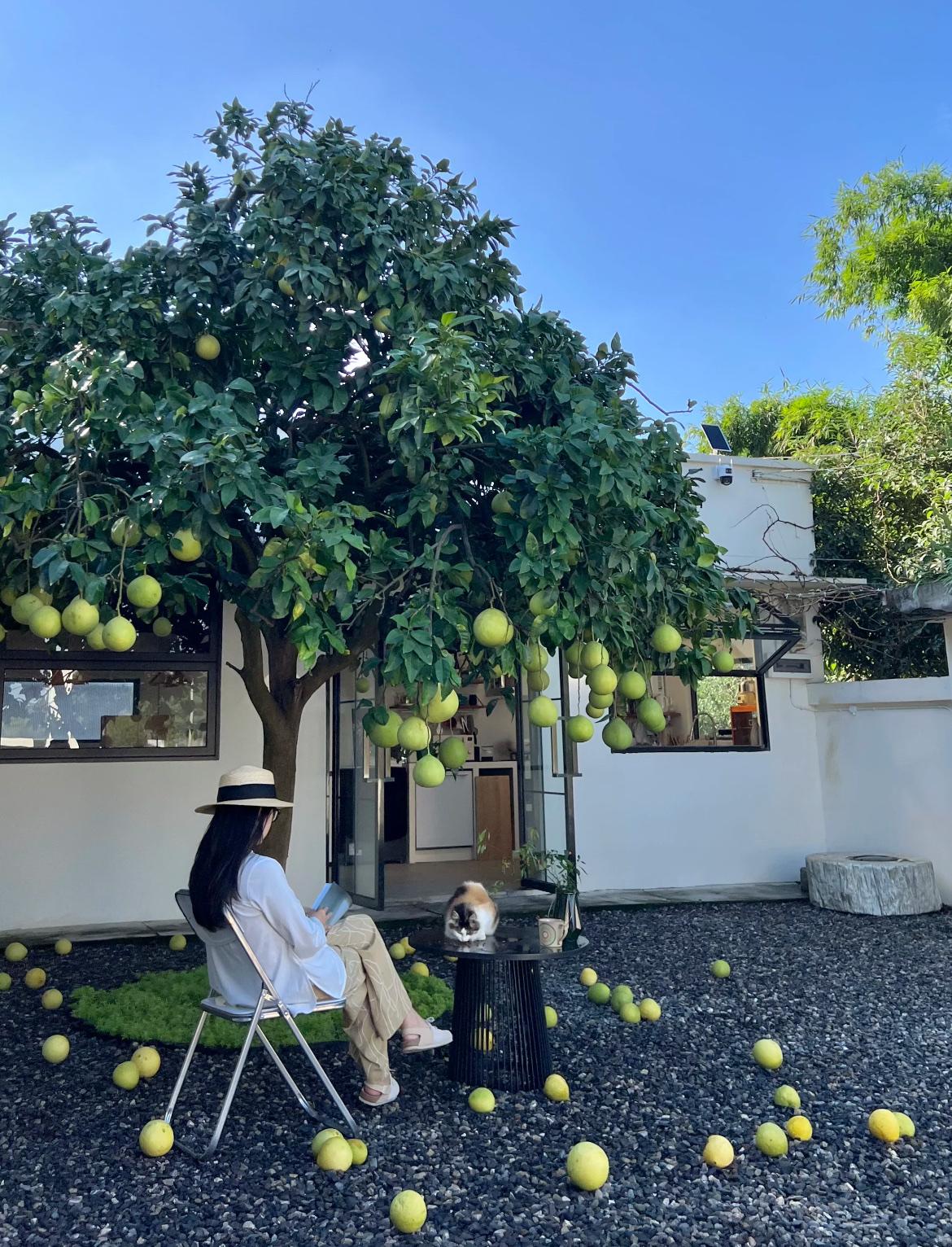 上联:勤勤恳恳种菜，求下联欢欢喜喜摘果