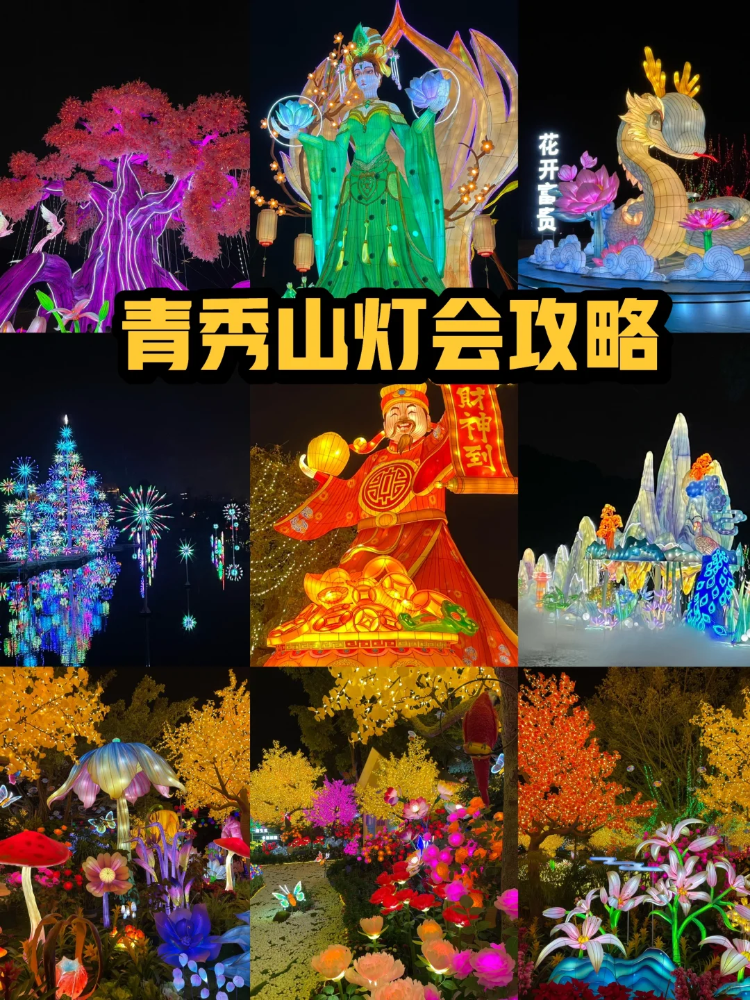 南宁灯会顶流！青秀山赢麻了！都去看