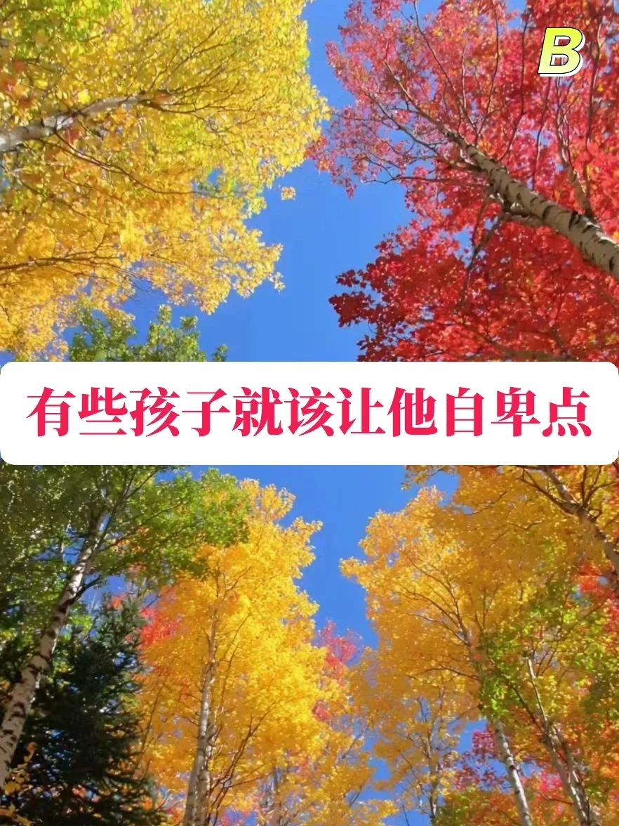 有些孩子就应该让他自卑点💥