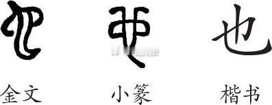 说到怕蛇，我觉得大概是老祖宗的基因里传下来的。甲骨文的蛇字，是一条眼镜蛇，后来渐