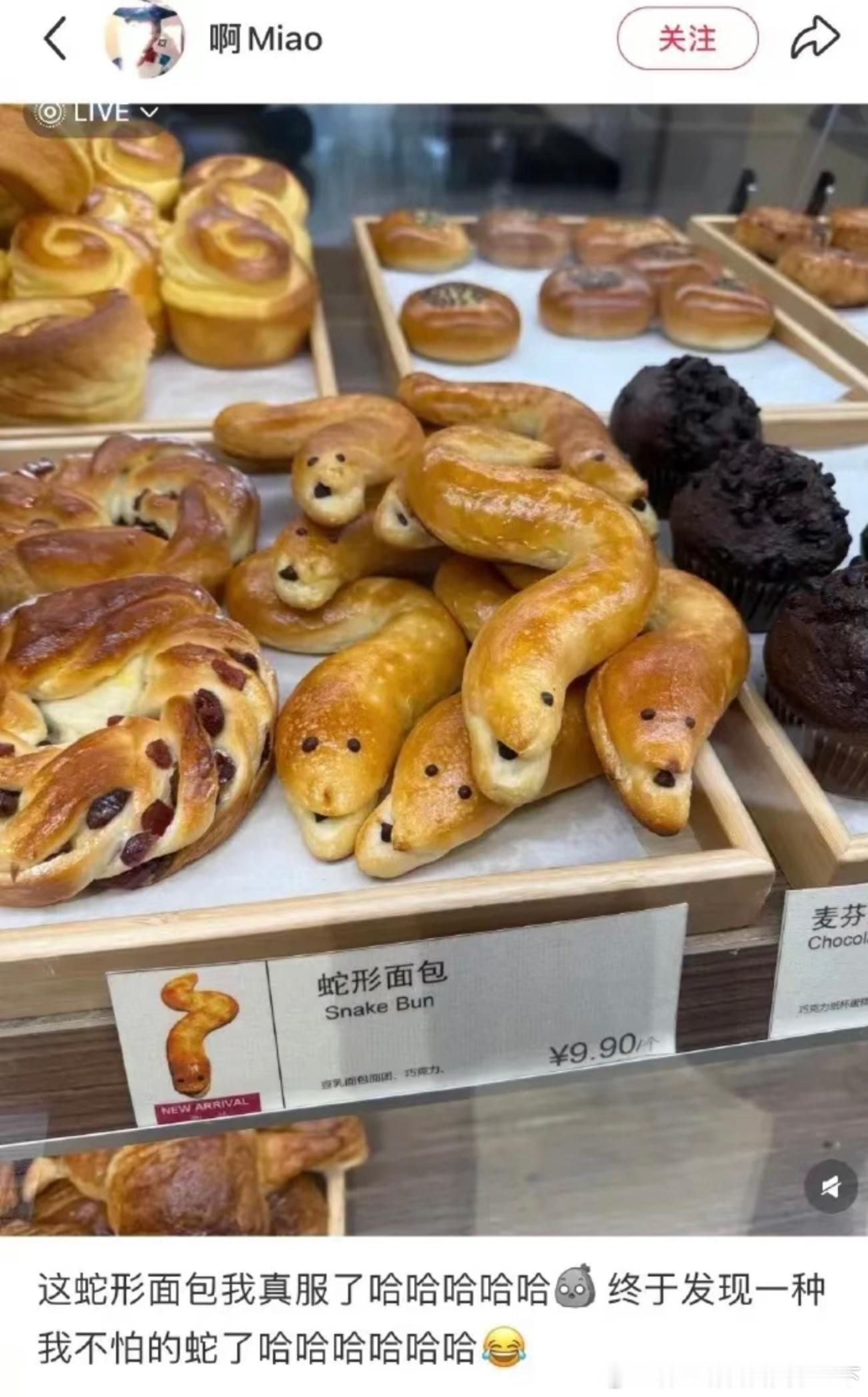 6436你怕蛇么？ 