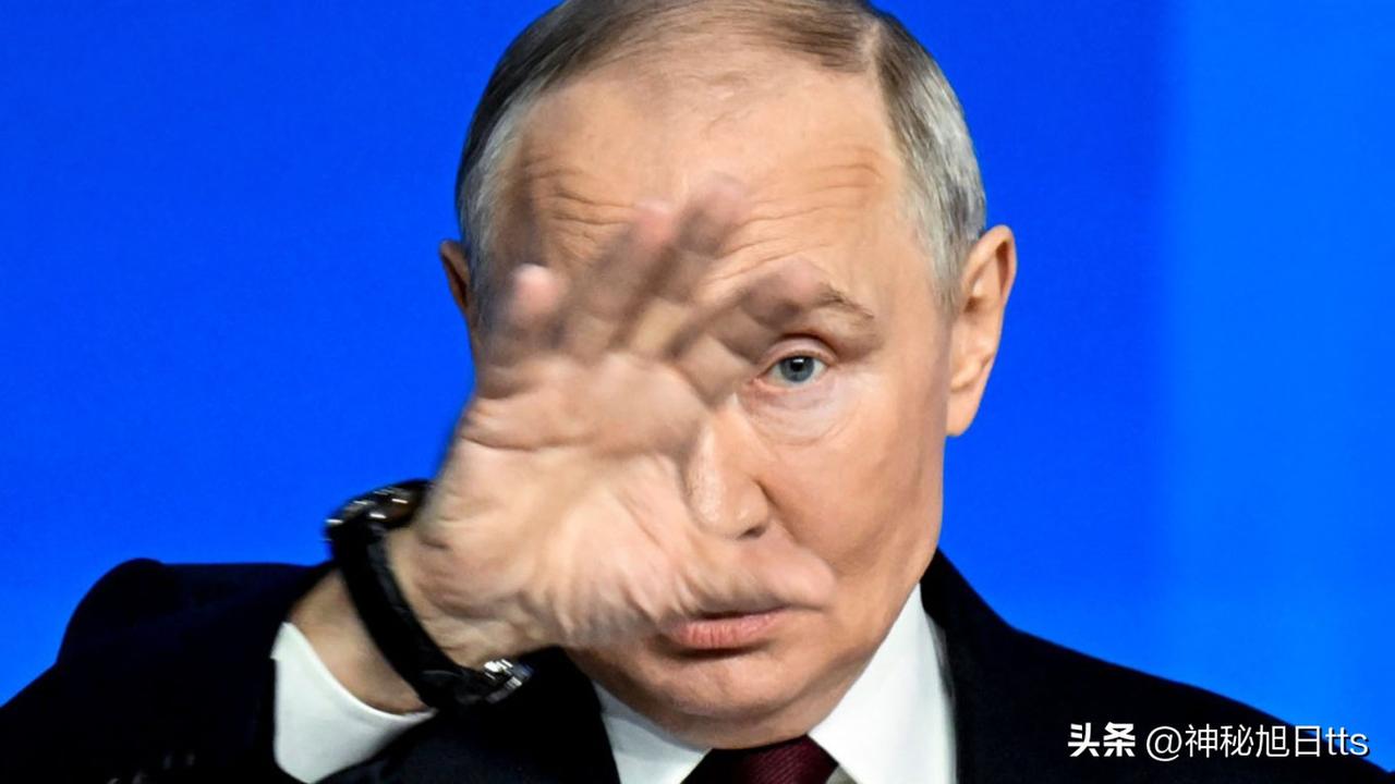 美国情报部门：普京自信在乌克兰局势中获胜，可能与北约发生冲突

弗拉基米尔·普京