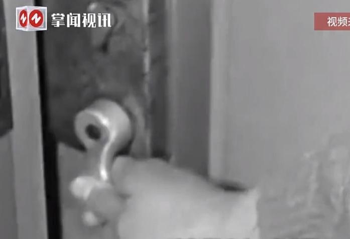 陕西汉中，男人伪装物管人员闯入女子家中抢劫，期间把她绑起来脱掉衣服，逼迫她做出羞