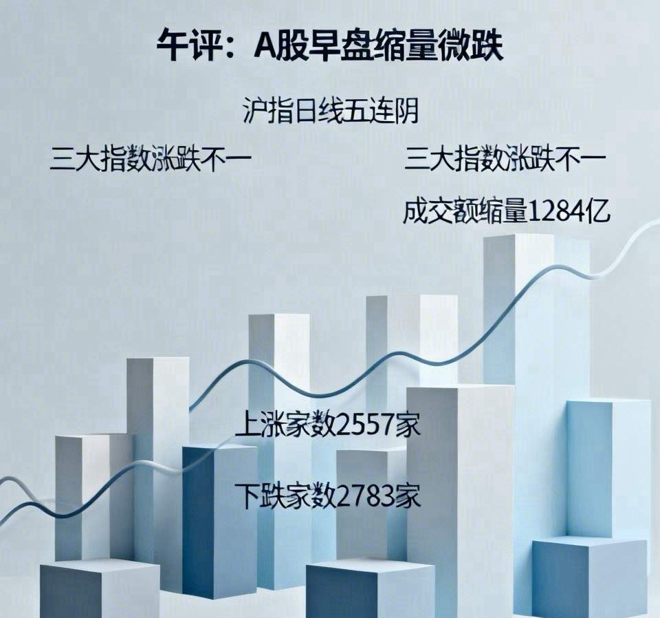 午评： A股早盘缩量微跌，沪指日线五连阴，接下来怎么走？听老手分析上午收盘了，三