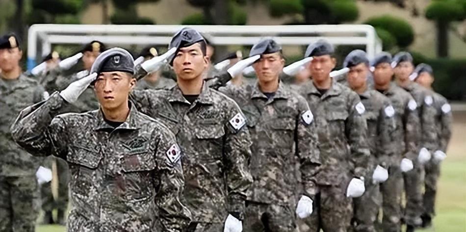 最近朝韩边境那可是热闹得很！朝鲜炸了公路，韩国边防兵直接开火，这火药味浓得都能闻