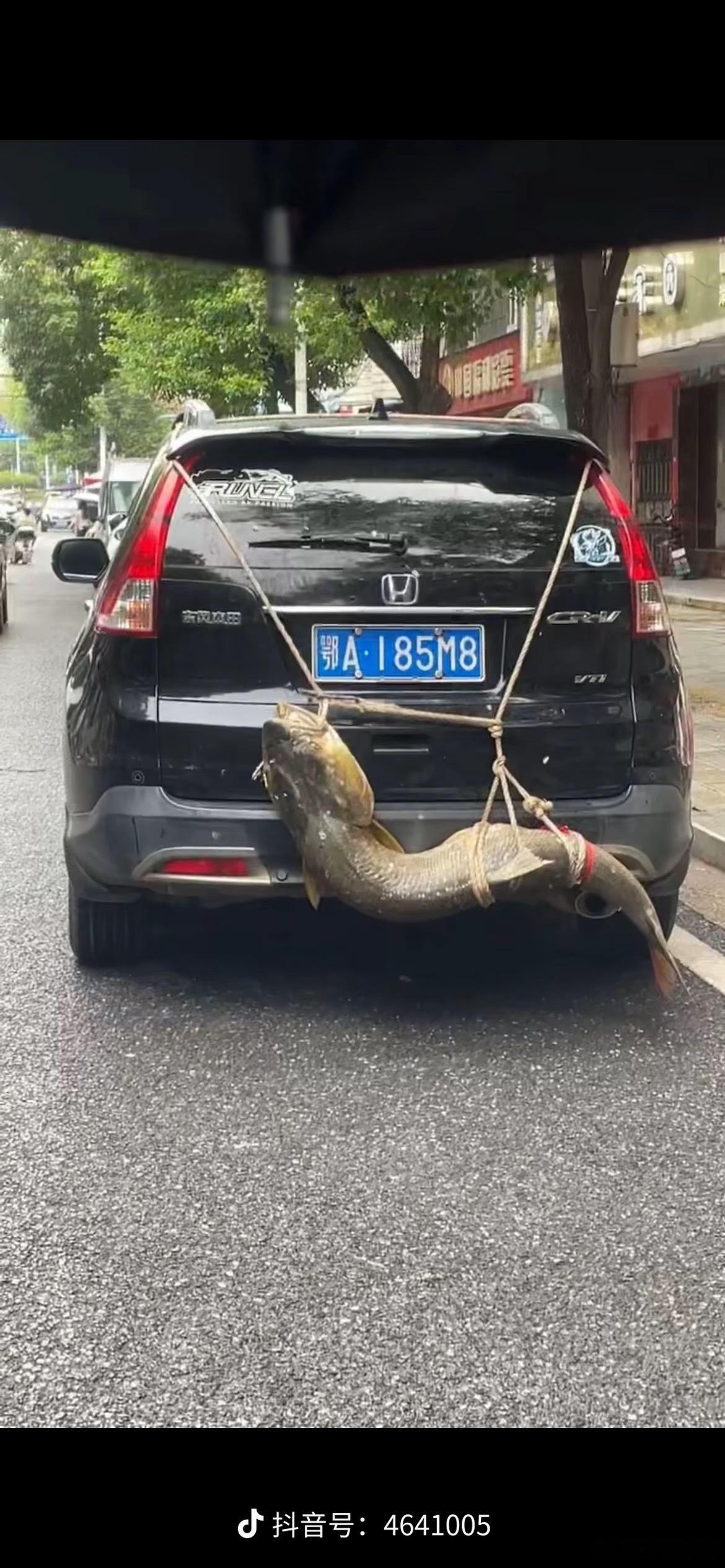 这大哥不得把一箱油跑干武汉三镇 全部跑一遍这也太能装了吧