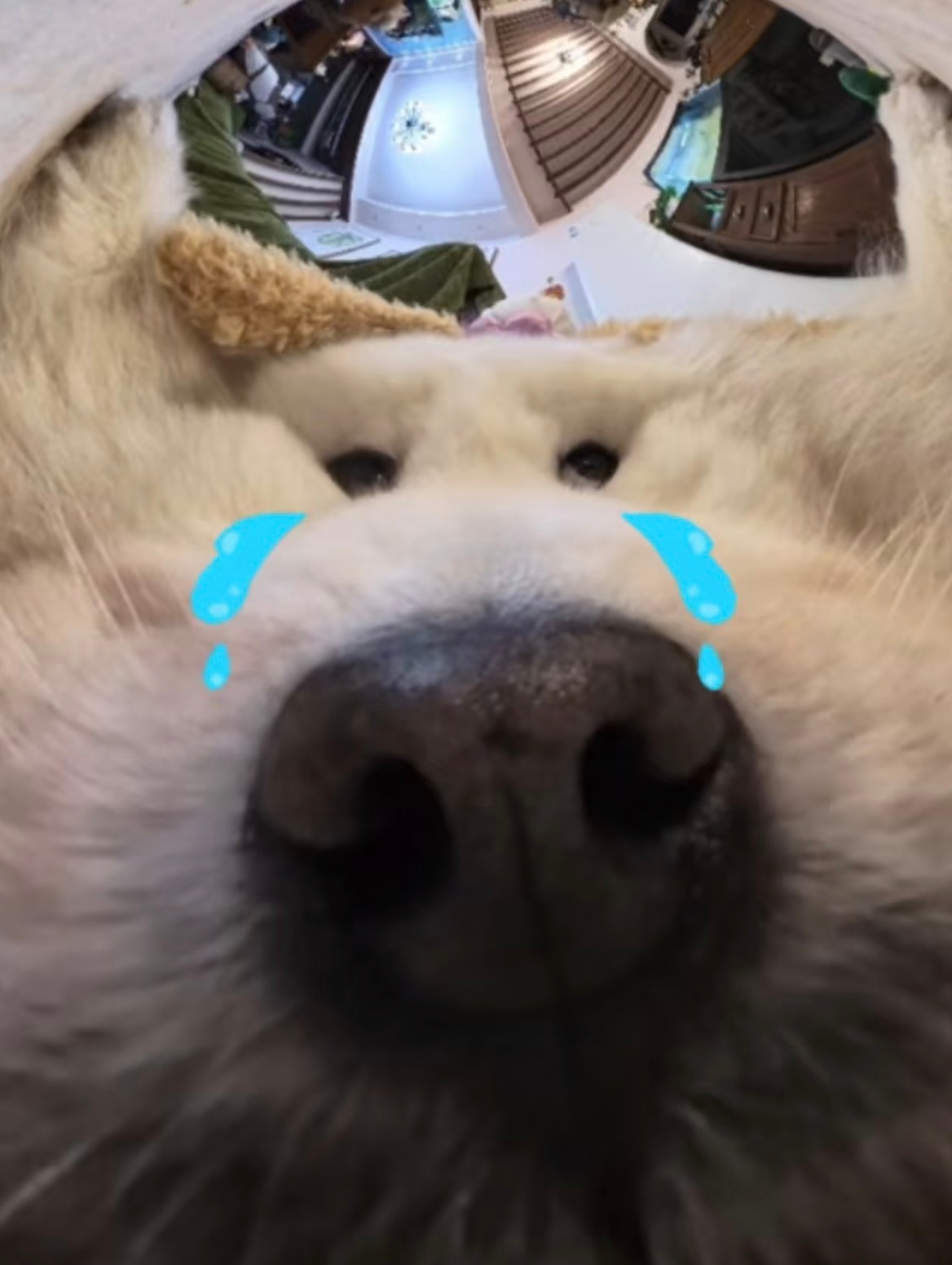人为什么要上班 天津