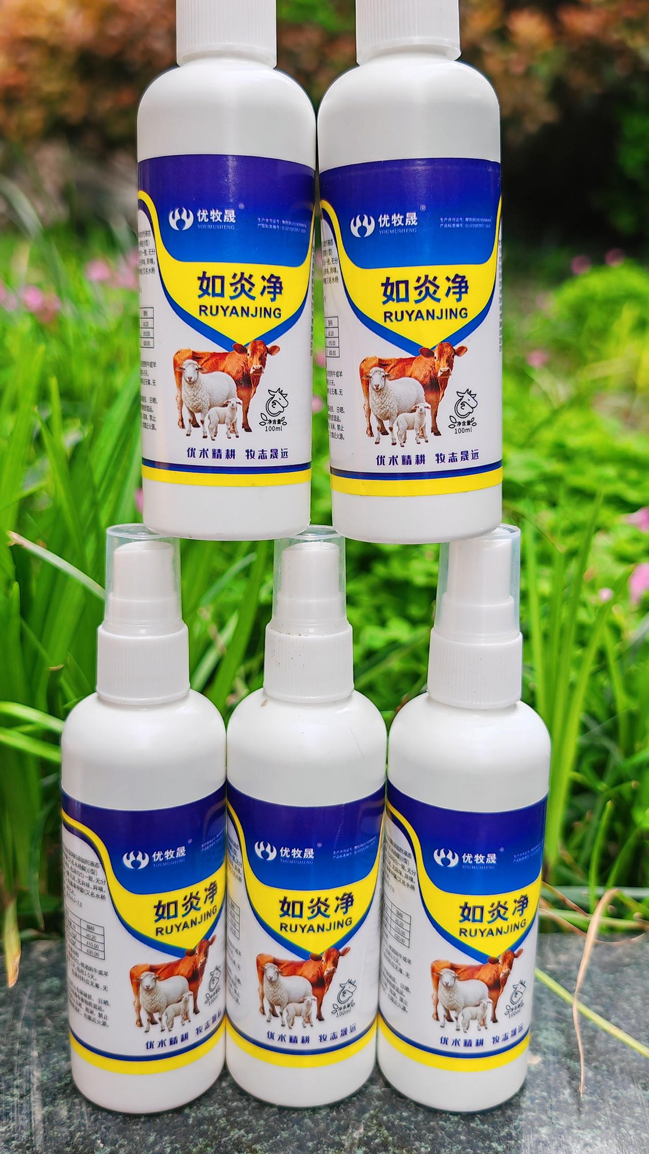 养羊人 农村养羊 牛羊养殖