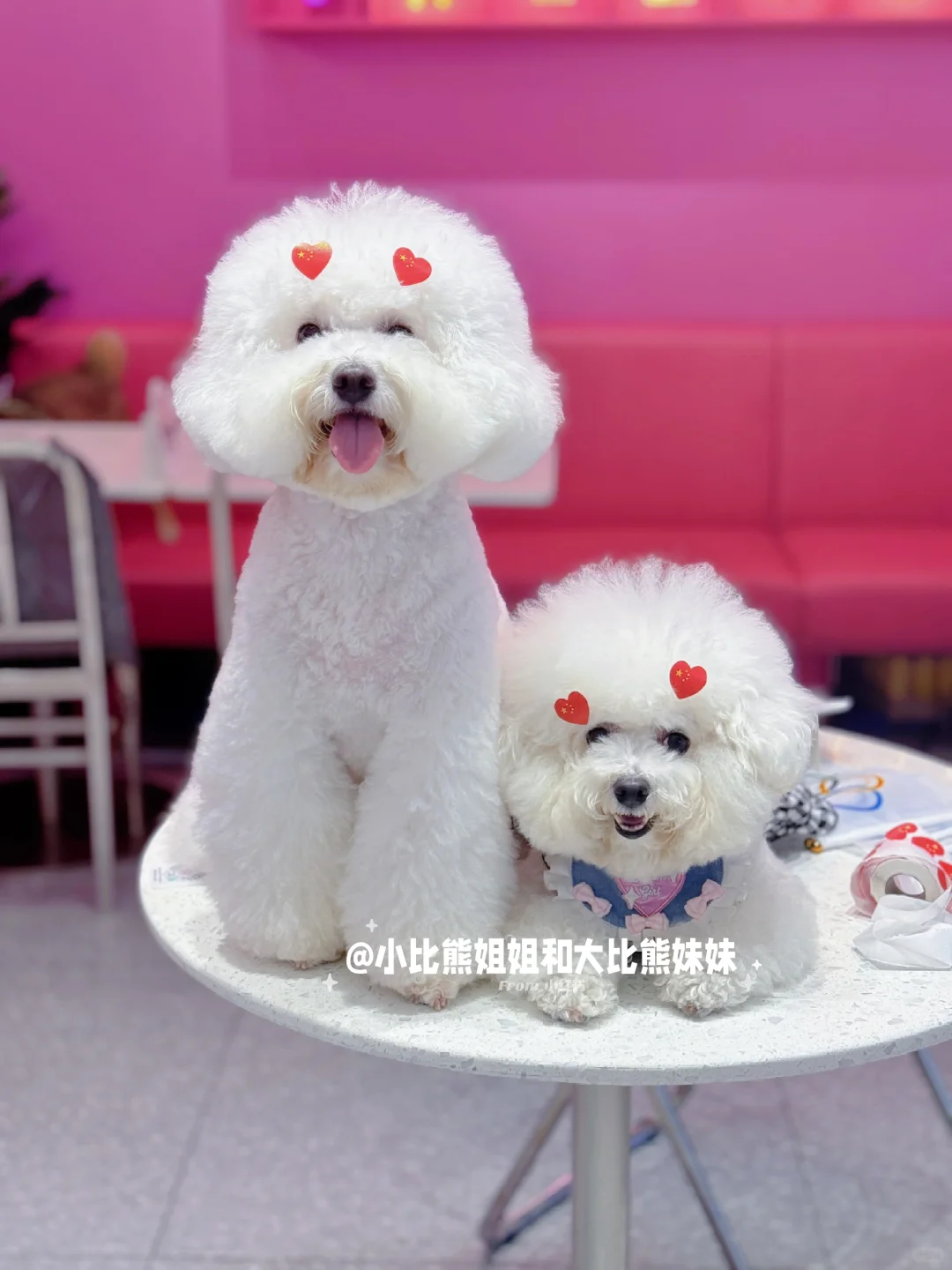 奥运宝宝中国队加油哦👏