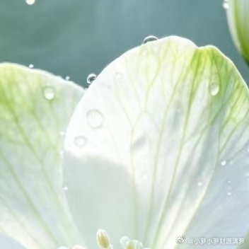 路边野草，藏着最狠的人生真相🌱走在路上忽然被路边的野草戳中了心。没人浇水、没人