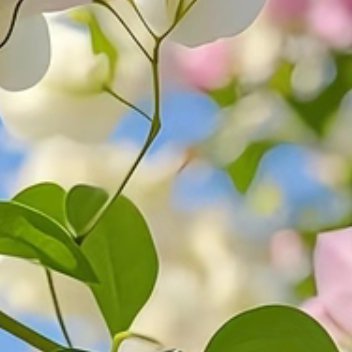 每日一善  每日一善   阳光信用 无论你面临什么样的困境，只要坚持自我调整，就